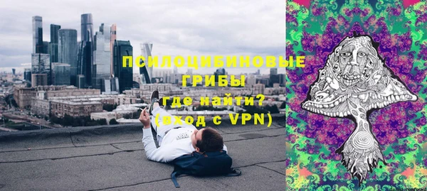 шишки Карпинск