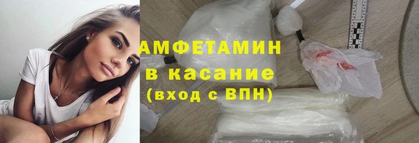 шишки Карпинск