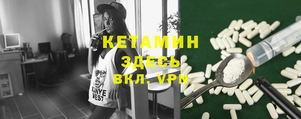 шишки Карпинск