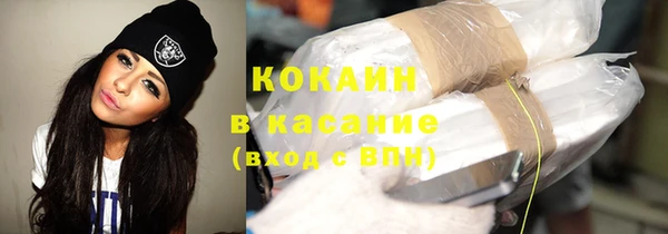 шишки Карпинск