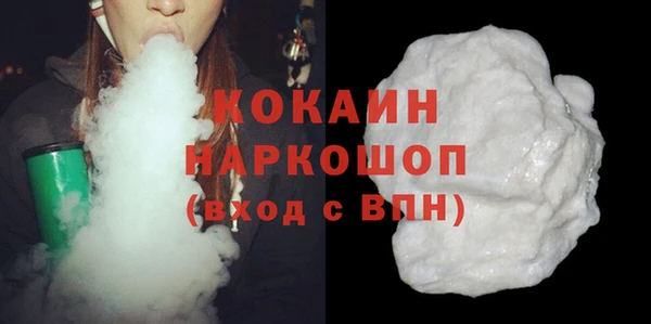 шишки Карпинск