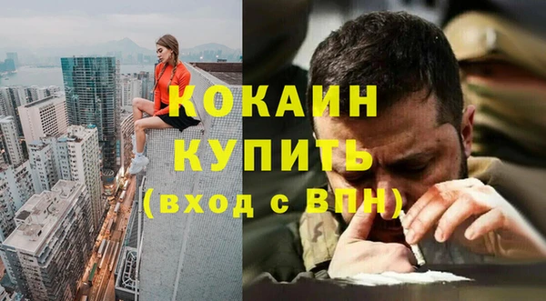 шишки Карпинск