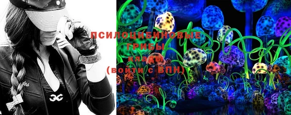 шишки Карпинск