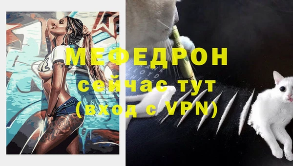 шишки Карпинск