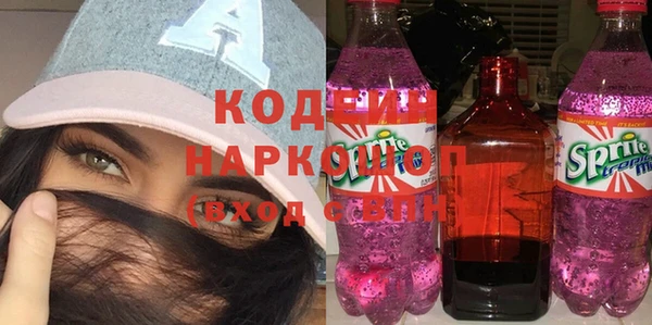 шишки Карпинск