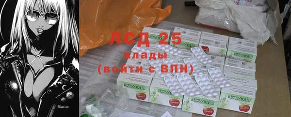 шишки Карпинск