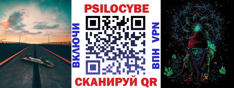Купить  Дубовка  Псилоцибиновые грибы Magic Shrooms 